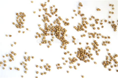 Heap Coriander Seeds Coriandrum Sativum Isolated On White Background