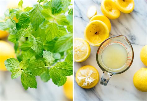 Frozen Mint Lemonade Limonana Cookie And Kate