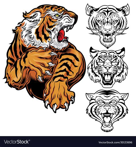 Animals angry tiger drawing head Royalty Free Vector Image