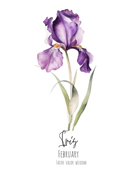 Purple Iris February Flower Watercolor Digital Art Print Birth Month Digital Download Mother's ...