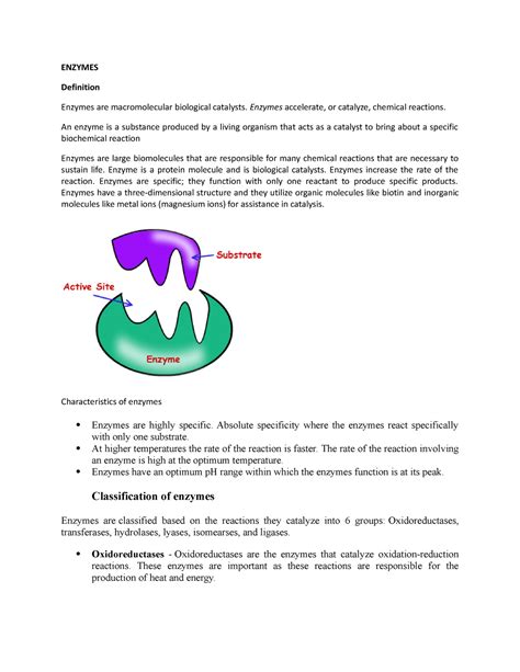 Enzymes Notes Enzymes Definition Enzymes Are Macromolecular