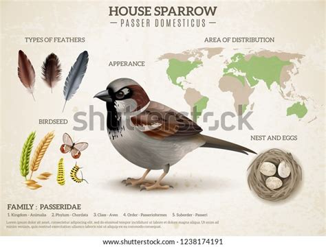 103 Bird Range Maps Royalty-Free Images, Stock Photos & Pictures ...