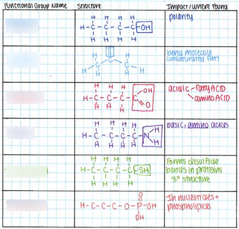 AP Bio Functional Groups Diagram Quizlet