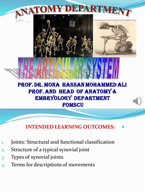 Articular System Pdf