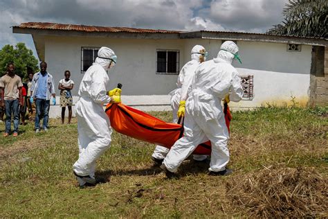 The Ebola Virus Mutated To Better Infect Humans During The 2014