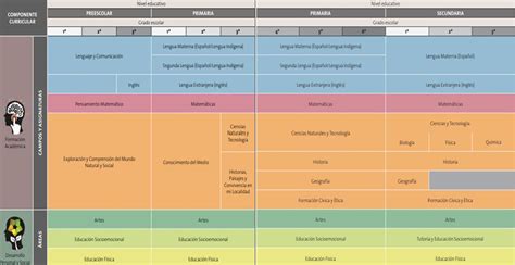 La Nueva Escuela Mexicana En Preparatoria Mapa Curricular Nbkomputer