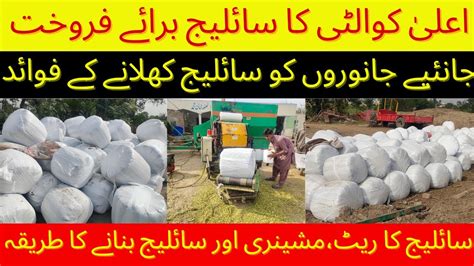 How To Make Best Quality Silage Bale Best Quality Silage For Sale