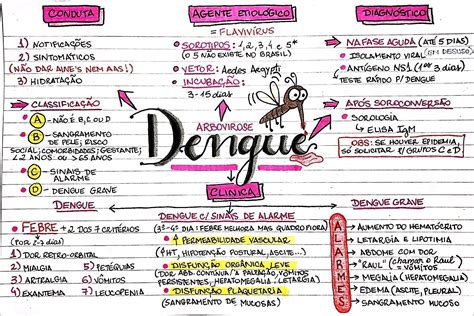 Mapa Mental Da Dengue Librain