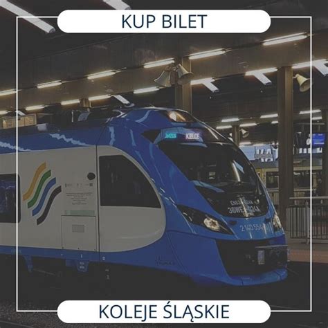 Pkp Bilety Online Pkp Info Pl