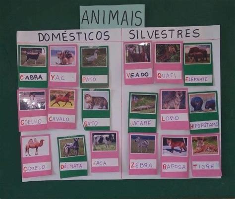 Atividades Sobre Animais Dom Sticos E Silvestres Educa O Infantil E