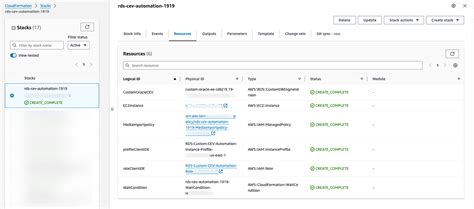 Automate Cev Creation With Aws Cloudformation In Amazon Rds Custom For