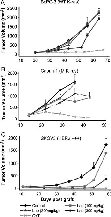 Comparison Of The Effect Of Lapatinib Dual HER2 EGFR TKI And Of The