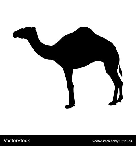 Camel black icon Royalty Free Vector Image - VectorStock