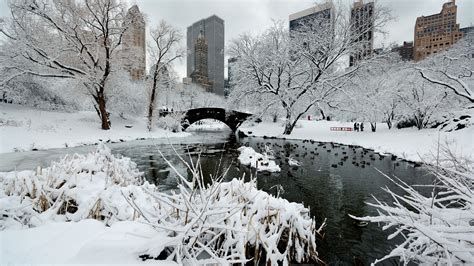 PLATINUM’S SURVIVAL GUIDE FOR WINTER IN NYC - Platinum Properties