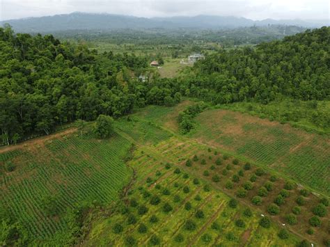 Forest and Agricultural Landscape Restoration in Cambodia and the ...