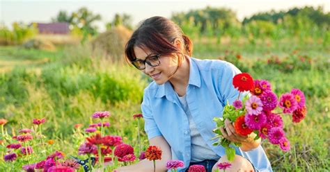 Une Lourde Amende Pour Les Fran Ais Qui Cueillent Les Fleurs Du Jardin