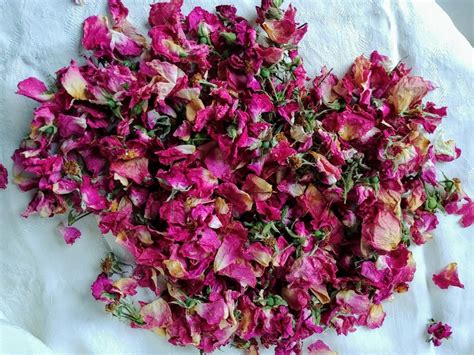 Dried Rose Petals Real Rose Heads Buds And Petals Mix Red Pink