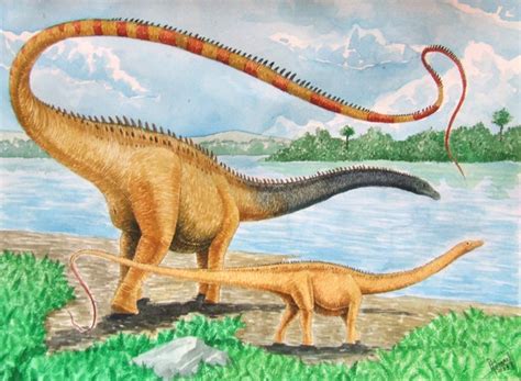 Картинки с динозавром Диплодок :: Diplodocus — Энциклопедия Динозавров