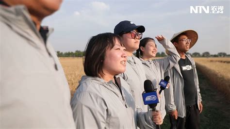 聚焦三农 中国三农发布麦收天团第四站山东兖州凤凰网视频凤凰网