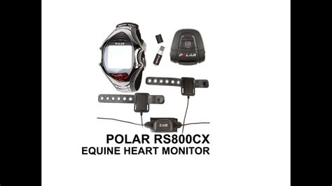 Polar Rs800cx Equine Heart Rate Monitor Kit Youtube