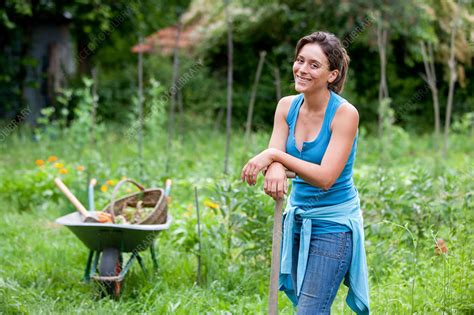 Woman gardening - Stock Image - C031/3936 - Science Photo Library