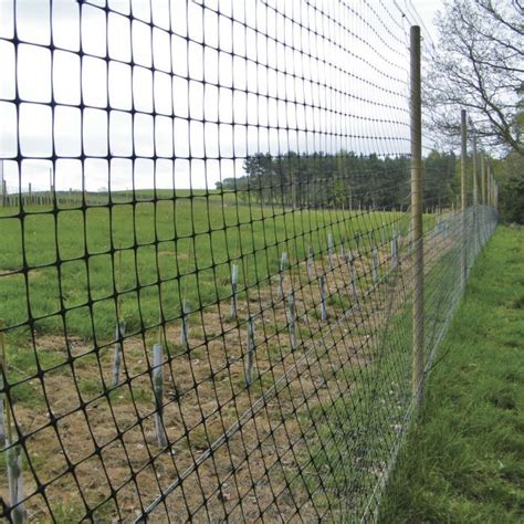 Invisible Deer Fencing Effective And Aesthetic Solutions