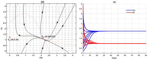 Numerical simulations of the CICV model for the data given in Table 1 ...