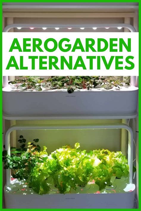 Indoor Gardens for Year-Round Healthy Food