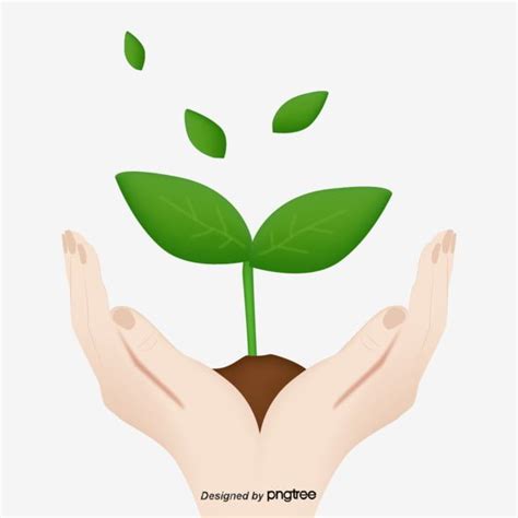 Hands Holding Plant Clipart Transparent PNG Hd Arbor Day Hand Fading