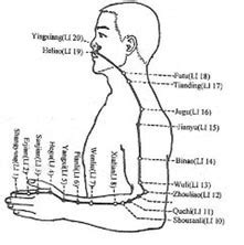 Acupuncture Acupuncture Points Large Intestine LI 12