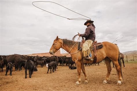 The Building Of A Brand — The Pitchfork Ranch