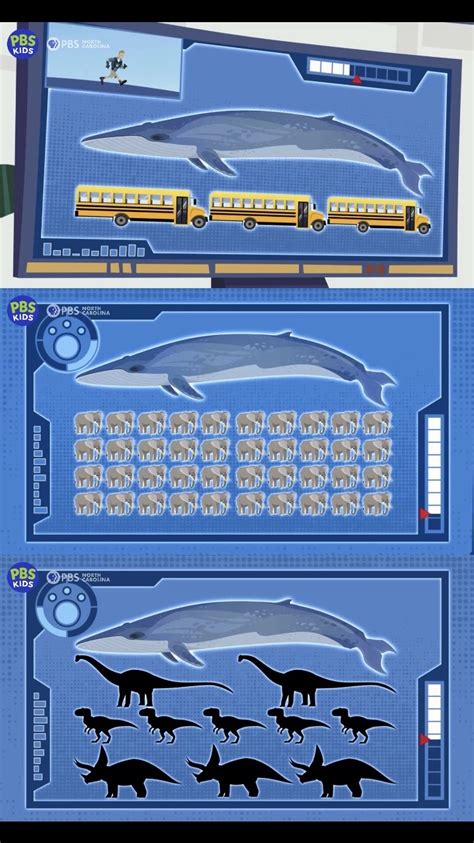 Wild Kratts: Blue Whale Size by Bvega41 on DeviantArt