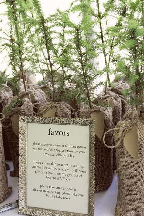 Plant A Tree Wedding Party Favors Plant Wedding Favors Wedding Party