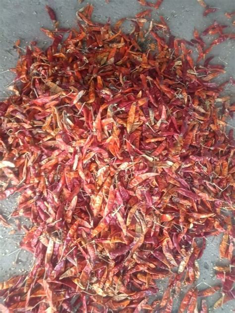 Chili Flake Red Chilli Flakes Packaging Size Kg At Rs Kg In