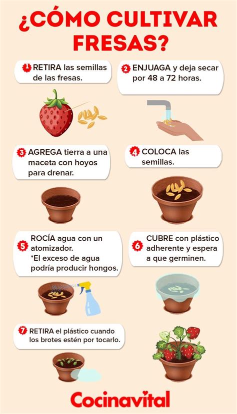 The Spanish Language Poster Shows Different Types Of Food And Drinks In