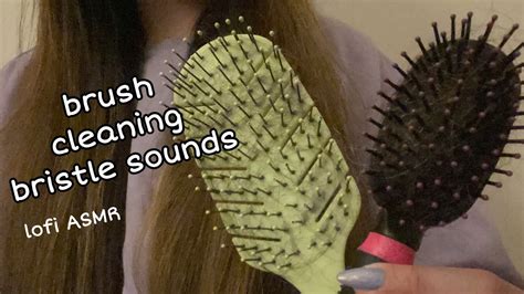 LOFI ASMR Hairbrush Cleaning Bristle Sounds Tapping No Talking