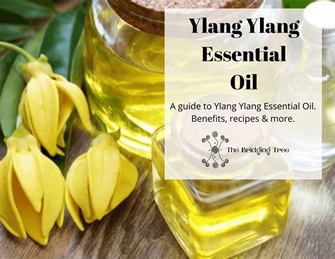 Ylang Ylang Essential Oil - The Bridging Tree