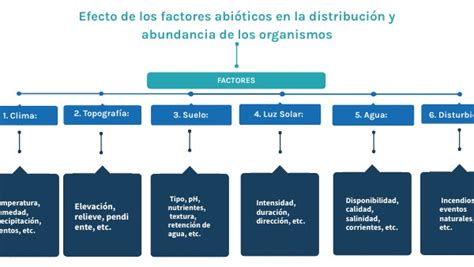 Factores De Degradacion Ambiental