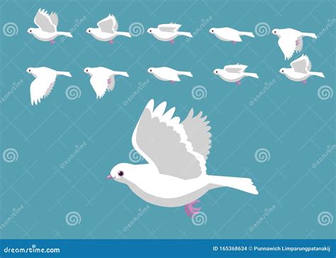 White Dove Flying Motion Animation Sequence Cartoon Vector Illustration | CartoonDealer.com ...