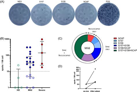 Comparison Between Enzymelinked Immunospot Assay And Intracellular