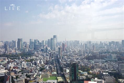 Shibuya Sky ขึ้นไปทีเดียวมองเห็นทั้งโตเกียว – THE STANDARD
