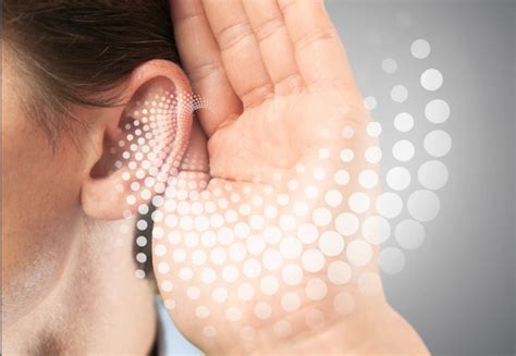 The Basics Of Hearing How Our Ears Capture Sound Knox Audiology