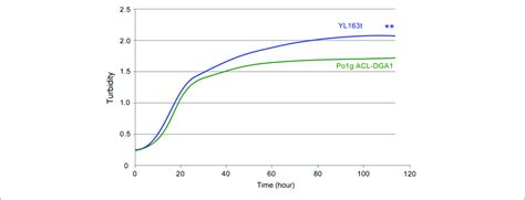 Bioscreen C Growth Curves Of Y Lipolytica Transformant Yl163t That