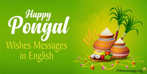 25+ Best Pongal Wishes Messages in English – Quotes