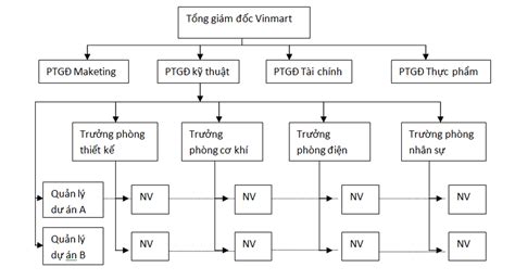 Top với hơn 80 về mô hình tổ chức theo ma trận hay nhất coedo vn