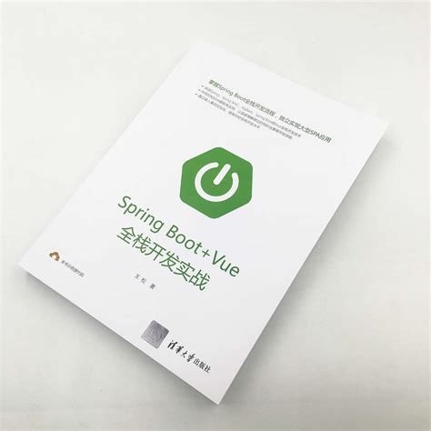 SpringBoot Vue全栈开发实战 springboot项目源码深度解析Java编程思想入门到精通独立实现大型SPA应用书籍程序设计软件