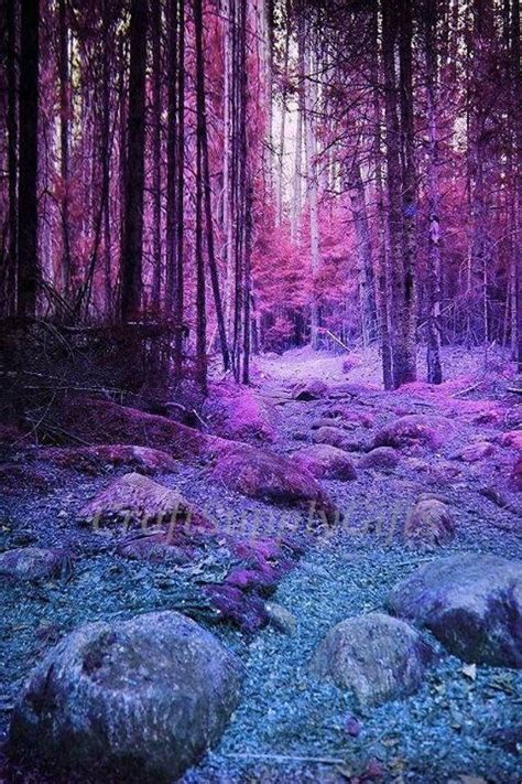 D Diy Diamond Painting Purple Forest Mosaic Cross Stitch Full Square