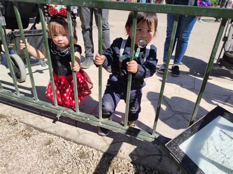 M S De Ni Os Y Pap S Celebraron D A Del Ni O En Parque El Loa