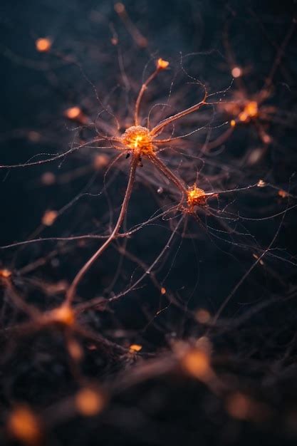 Premium Ai Image Human Brain Neuron 3d Art Illustration