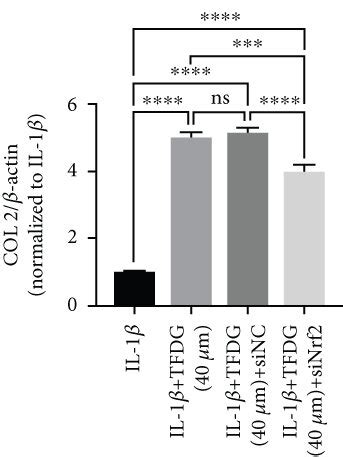 The Blockade Of Nrf Ho Signaling Partly Reverses The Protective